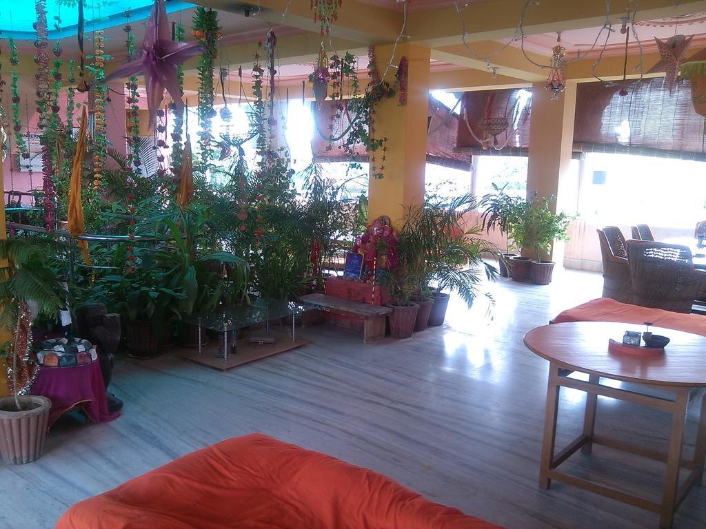 Hotel Mama Luna Pushkar Eksteriør billede